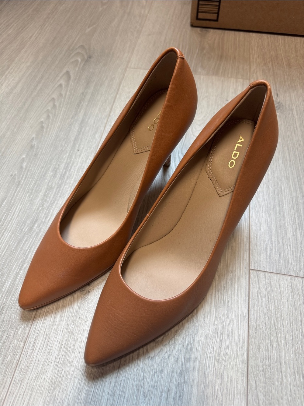 Aldo Tan Pointed-Toe Stiletto Pumps